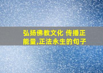 弘扬佛教文化 传播正能量,正法永生的句子